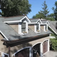 , Synthetic-Davinci-Detail-NEW-a