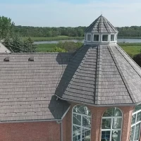 , Synthetic-Davinci-Detail-NEW-a