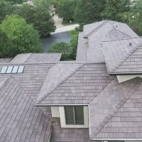 , Synthetic-Davinci-Detail-NEW-a