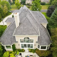 , Synthetic-Davinci-Detail-NEW-a