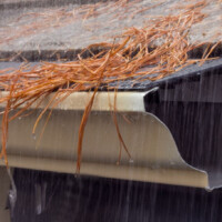 Pine-Needles-Keep-Out-of-Raindrop-Gutter-Guards